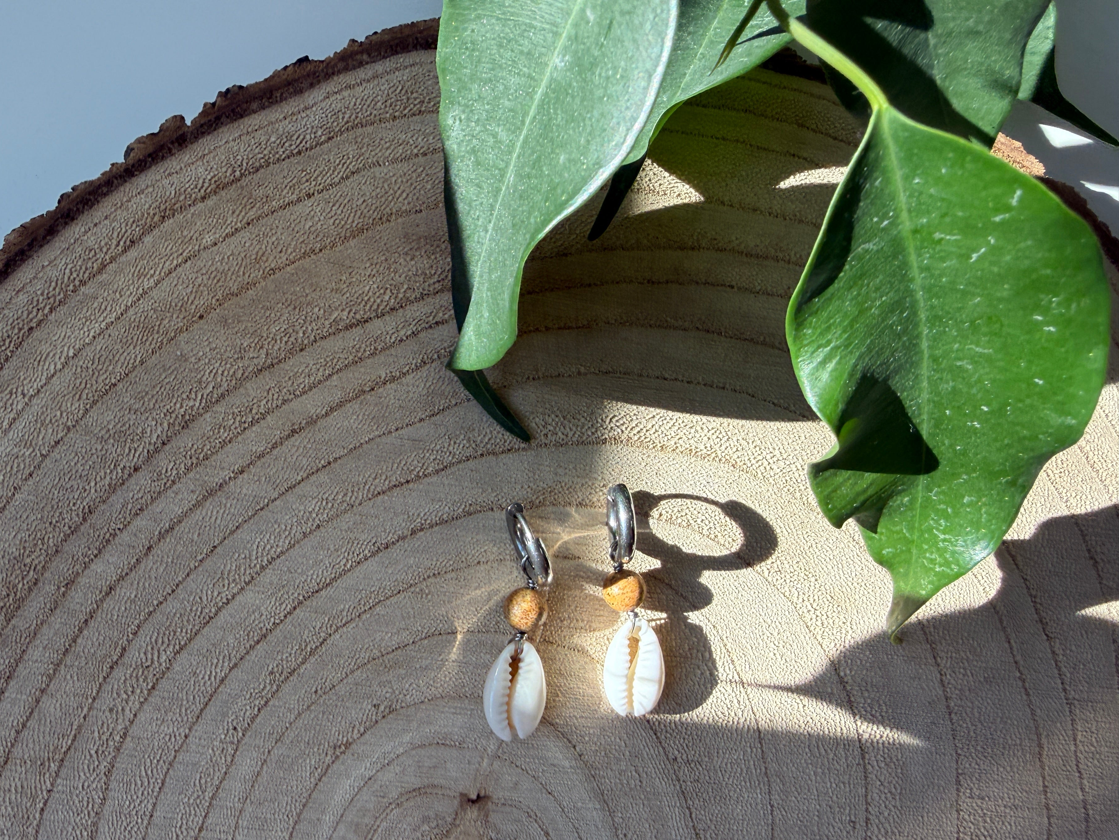 Zwei Creolen in Silber mit einer Jaspis-Perle und einer Kauri-Muschel als Anhänger liegen auf einem Holzbrett, eingerahmt von Pflanzenblättern.